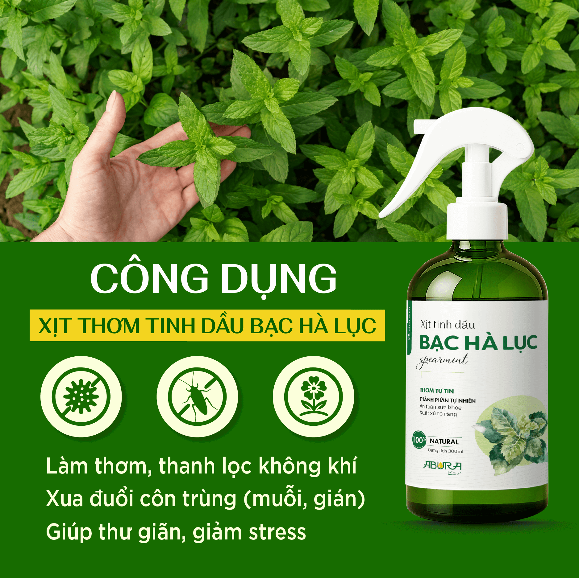 Công dụng nổi bật của Xịt Tinh Dầu Bạc Hà Lục Công dụng nổi bật của Xịt Tinh Dầu Bạc Hà Lục