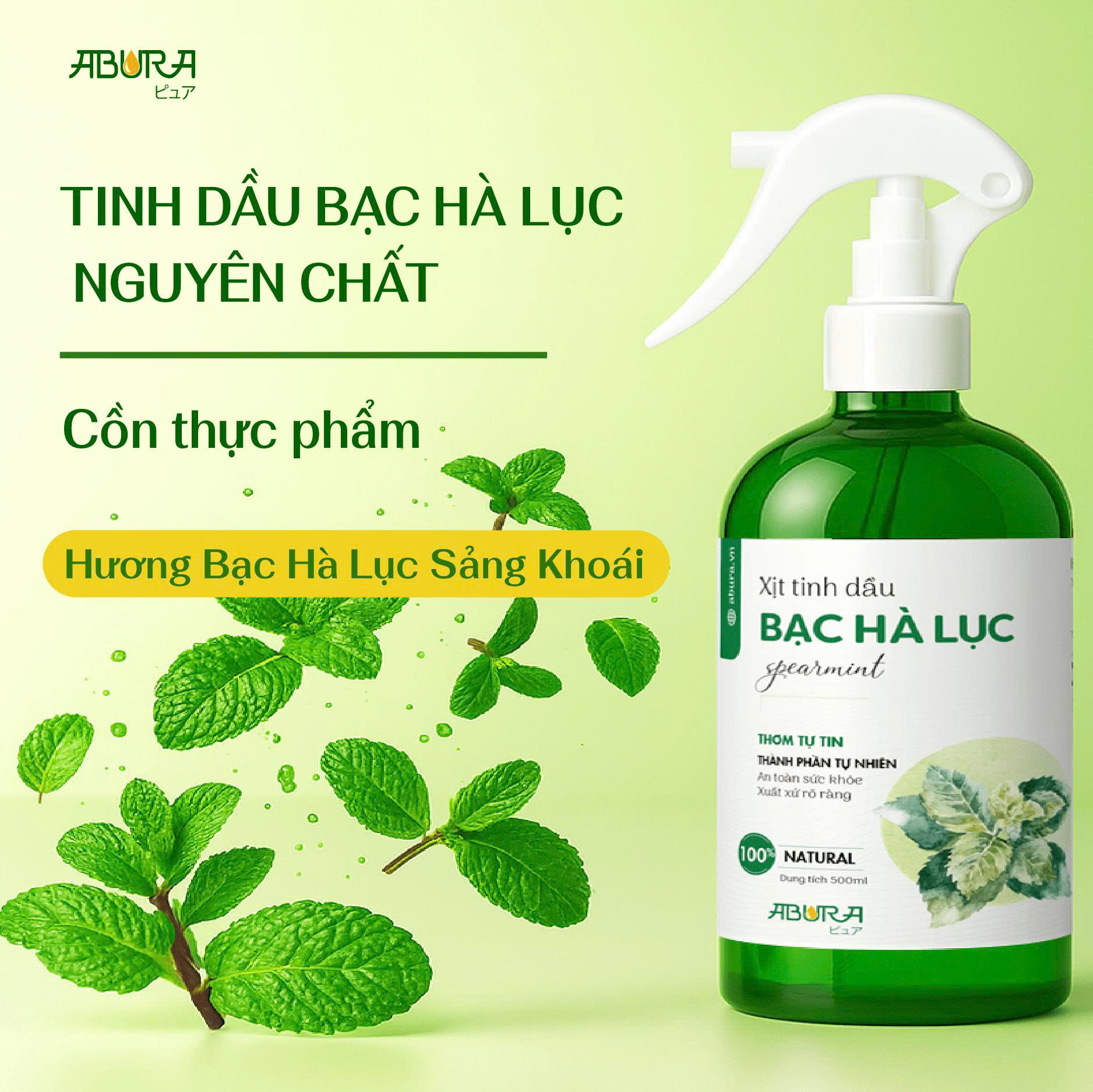 Thành phần Xịt Tinh Dầu Bạc Hà Lục Thành phần Xịt Tinh Dầu Bạc Hà Lục